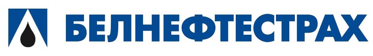 Логотип Партнера PROBEG.BY